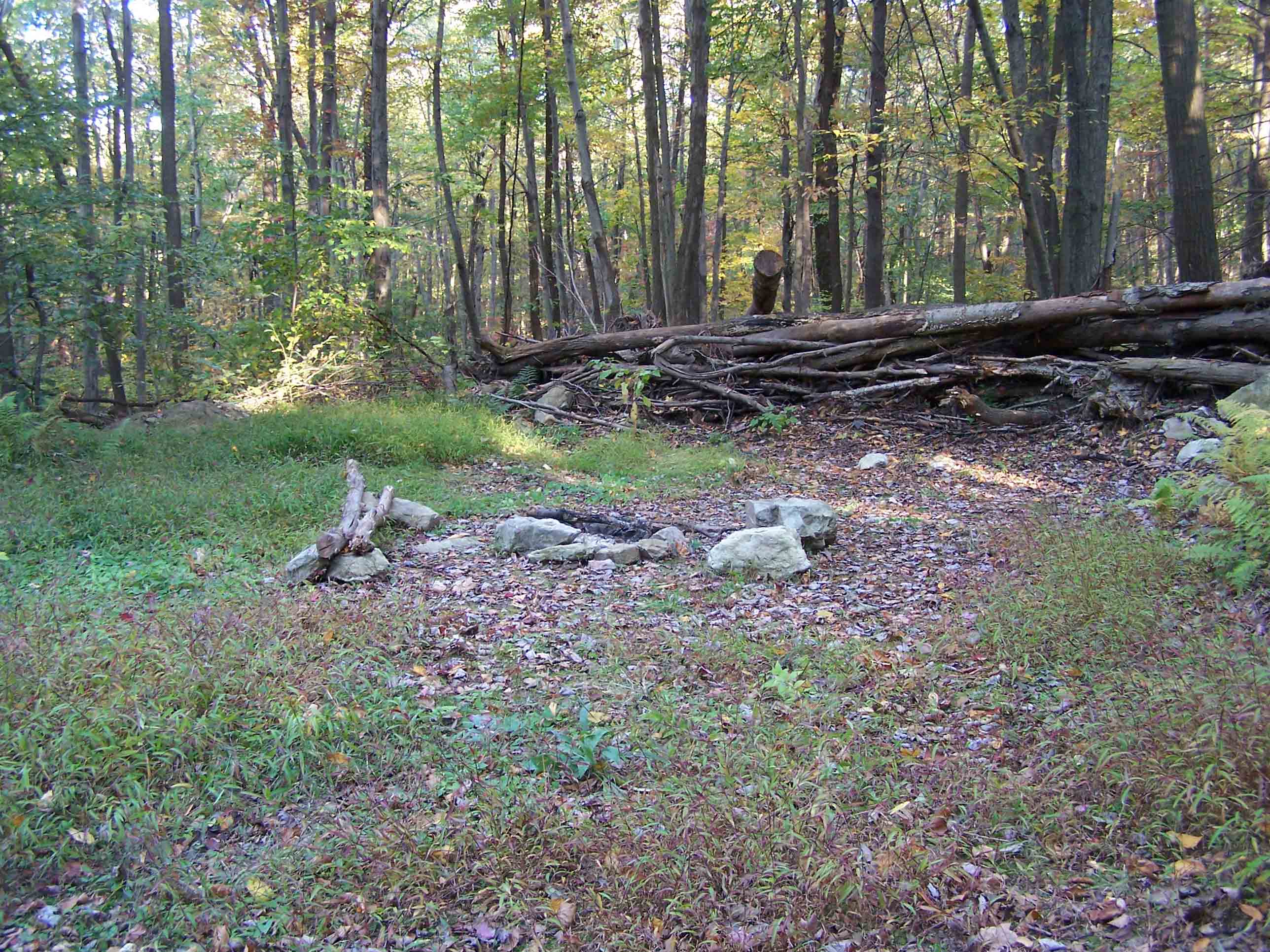 Campsite along trail between Eckville Gameland Parking Lot and the Pinnacle. Courtesy at@rohland.org